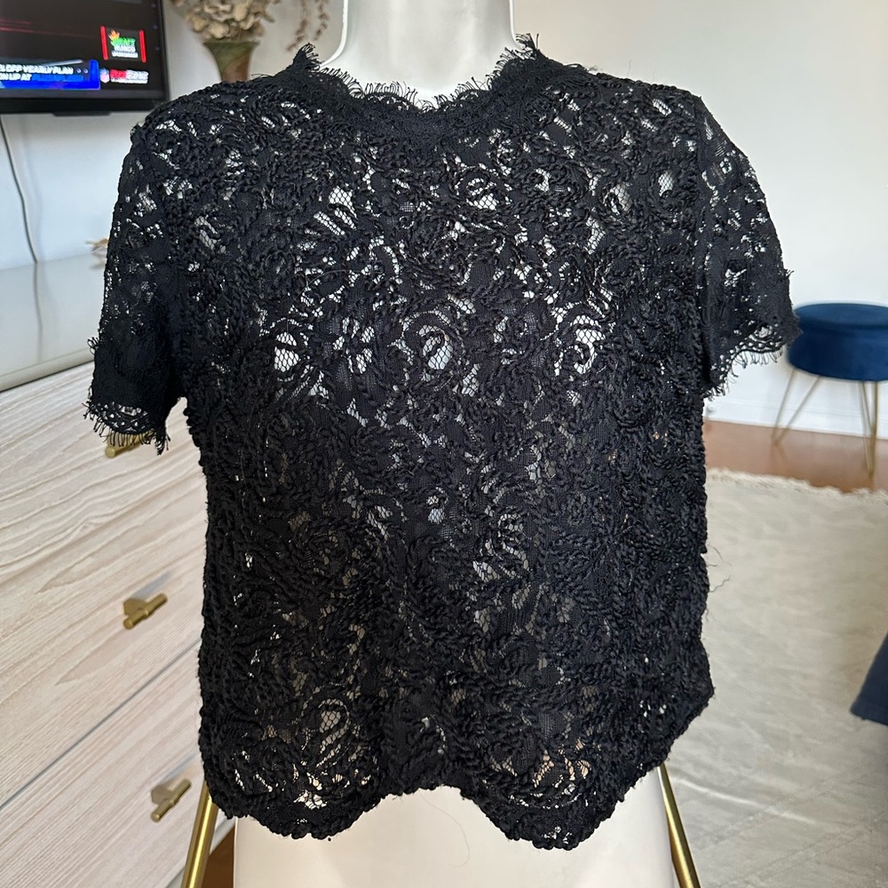 ZARA Trafaluc Low Turtleneck Black Lace Textured Crop Top Blouse